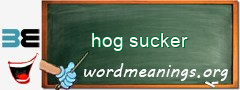 WordMeaning blackboard for hog sucker